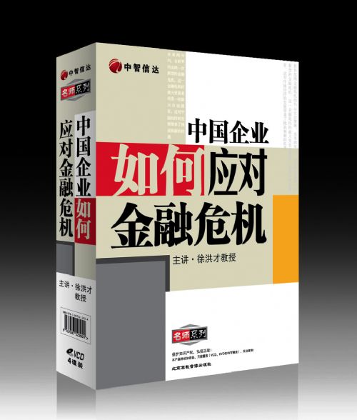 中國企業(yè)如何應(yīng)對金融危機(jī)線上課程