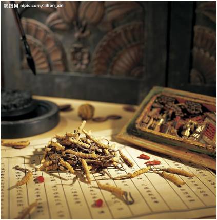 醫(yī)藥行業(yè)：十二五期間中國將支持構(gòu)建中藥材三大支持體系